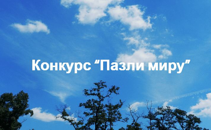 Конкурс "Пазли миру" від Програми національних обмінів