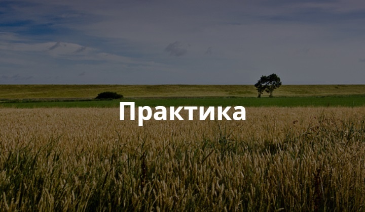 практика