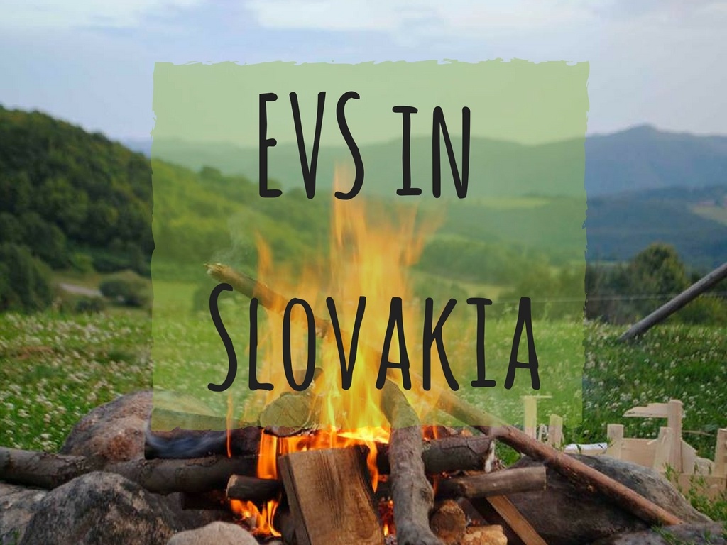EVS in Slovakia