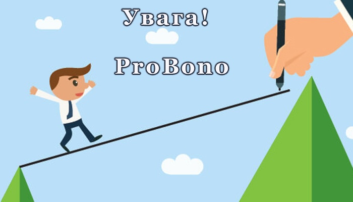 ProBono «Менторська підтримка неприбуткової організації»