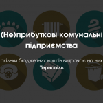 (Не)прибуткові комунальні підприємства