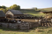 rural-life-concept-with-farm-animals (1)