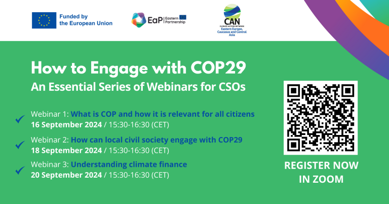 COP-29-Webinars-visual-768x402 (1)