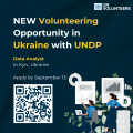 Data Analyst - UNDP